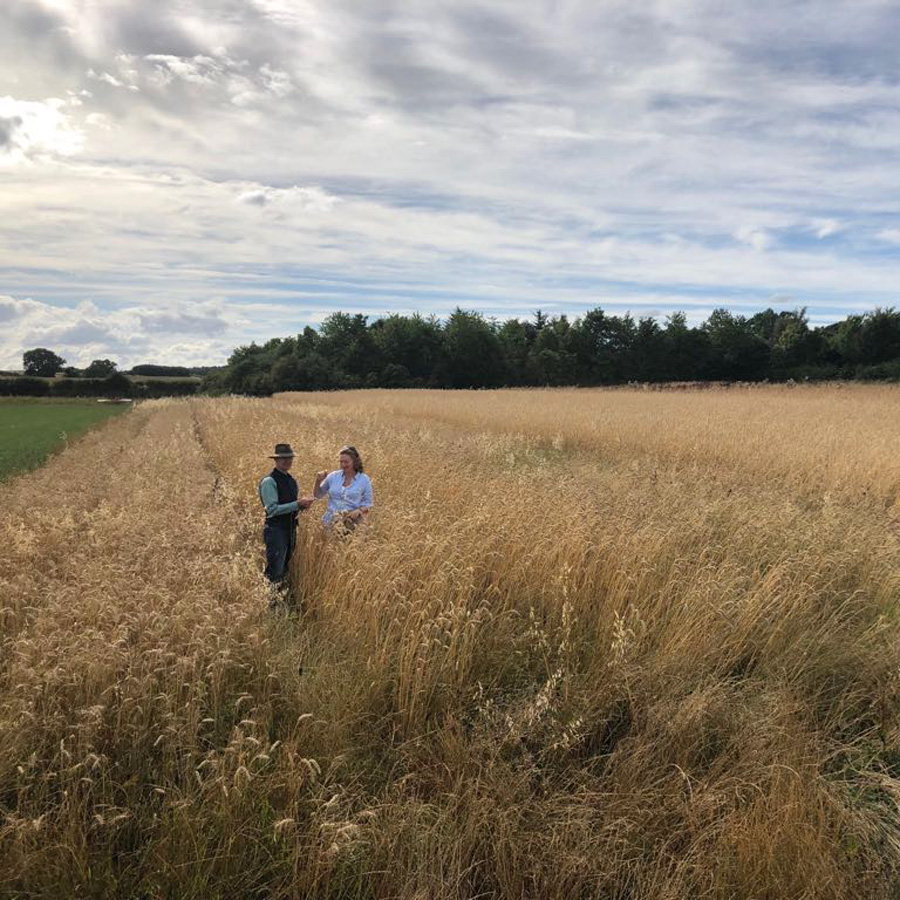 Gilchesters flour and grain Gilchesters flour and grain