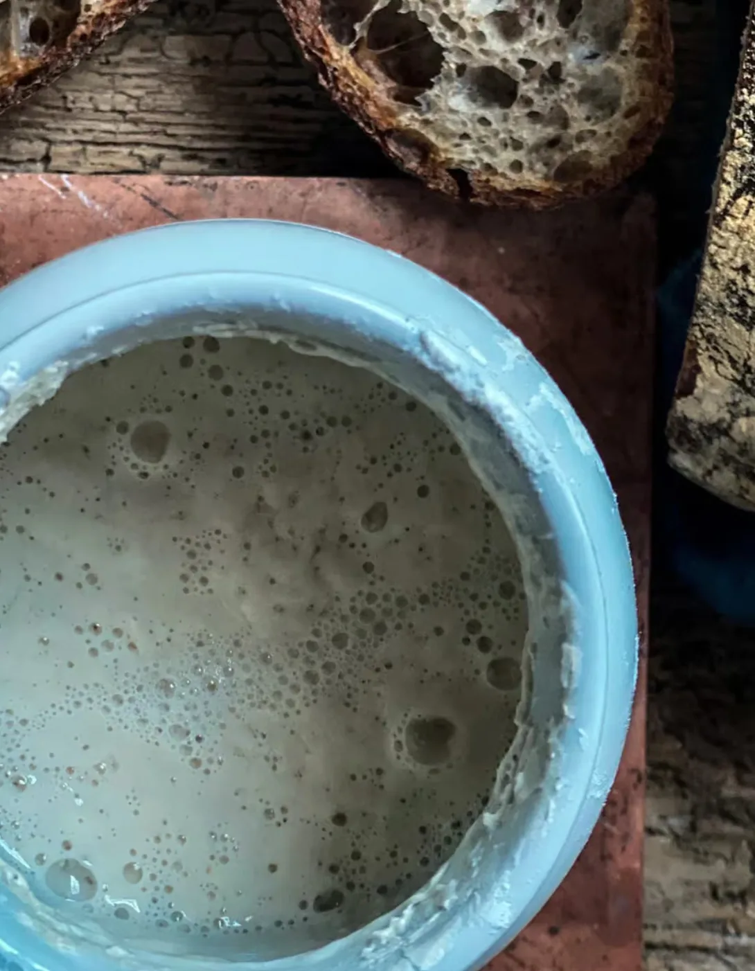 Sourdough starter Sourdough starter