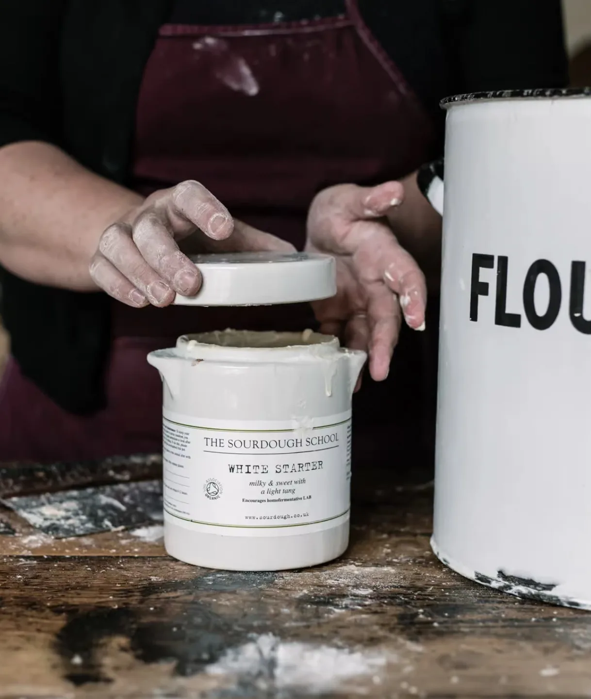 Sourdough starter Sourdough starter