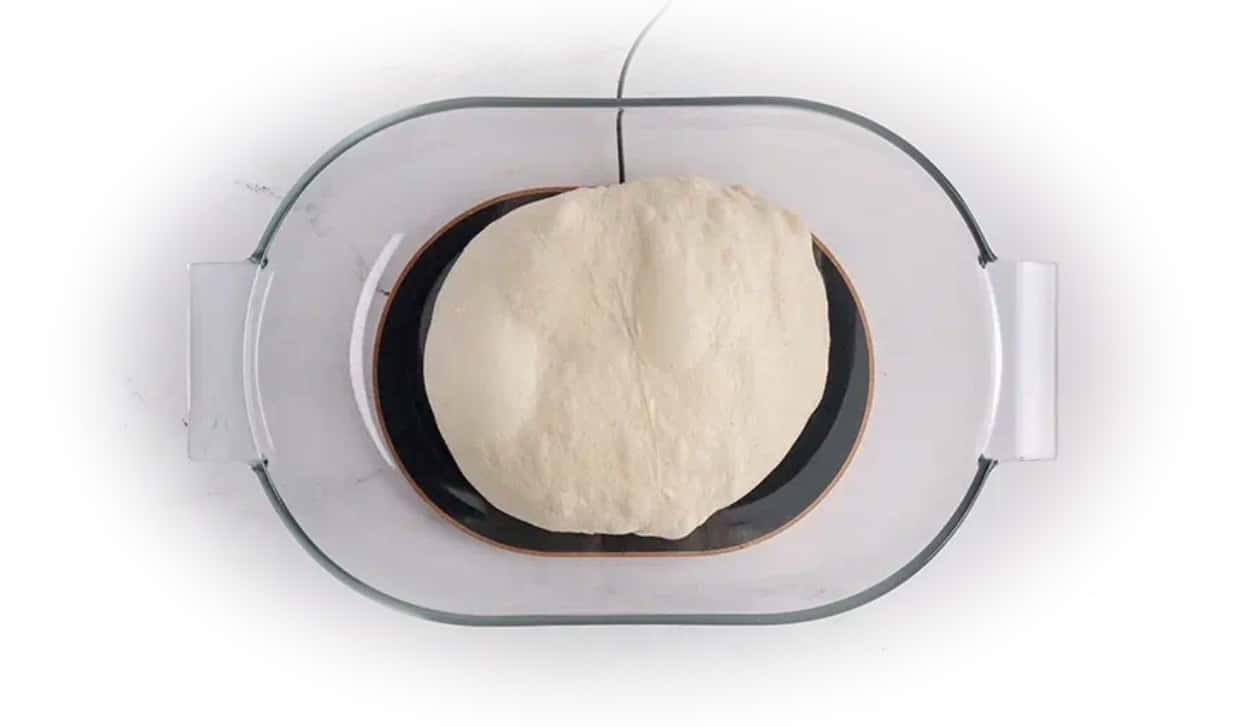 Sourhouse Doughbed with dough Sourhouse Doughbed with dough