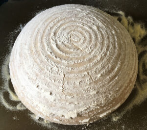 Dough proofed using a banneton