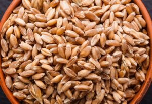 Spelt Grain Kernels for flour
