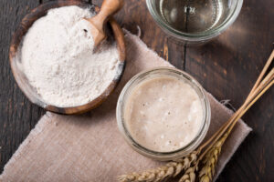 Sourdough starter