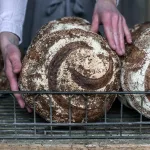 Sourdough Boule Kit