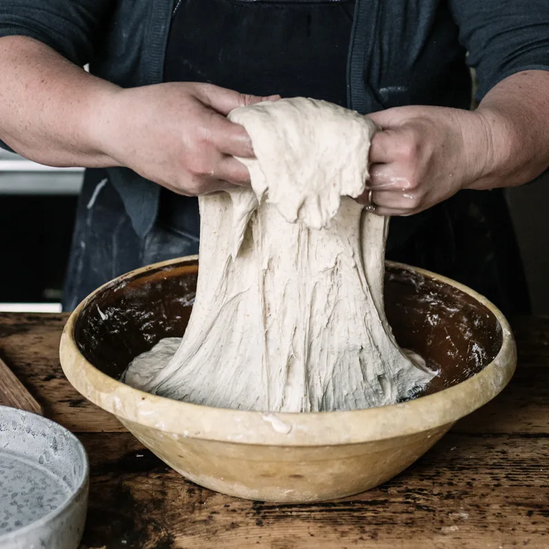 Folding sourdough boule dough by hand