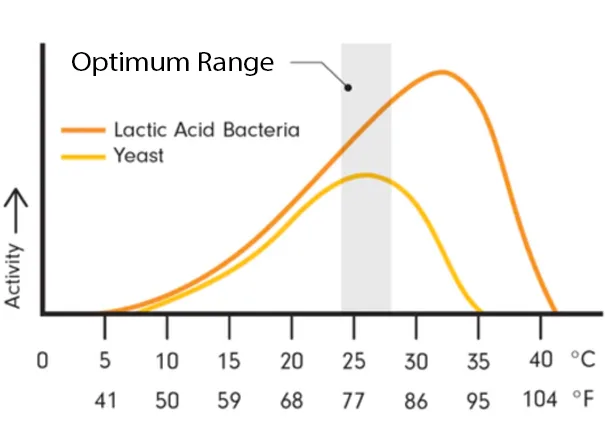 Optimum sourdough temperature on a graph