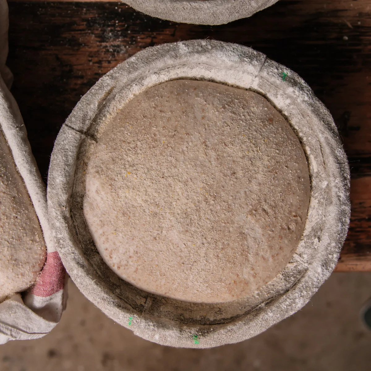 Sourdough boule proving in a banneton