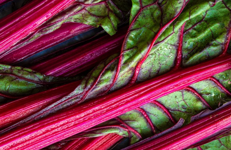 Season fruit and veg trends in March - Rhubarb