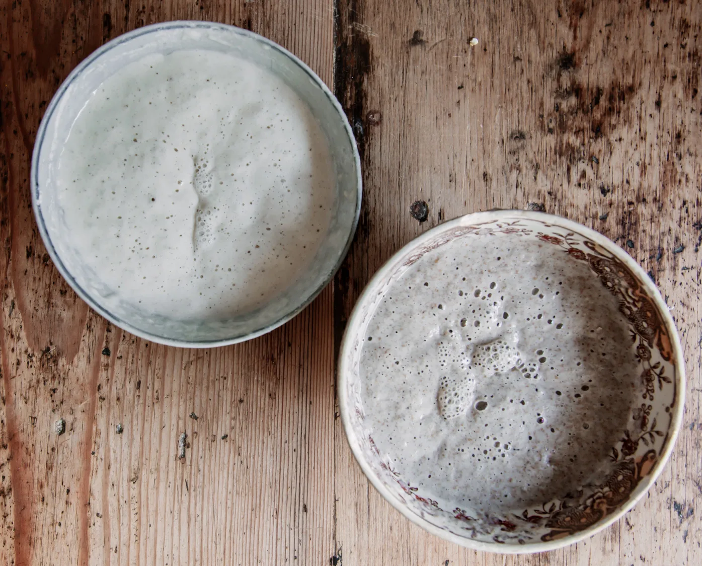 A white and wholegrain sourdough leaven.