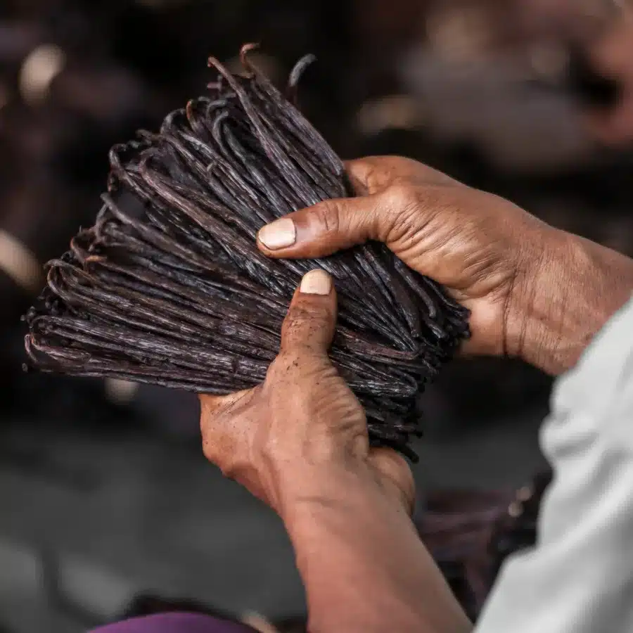 Vanilla pods being held