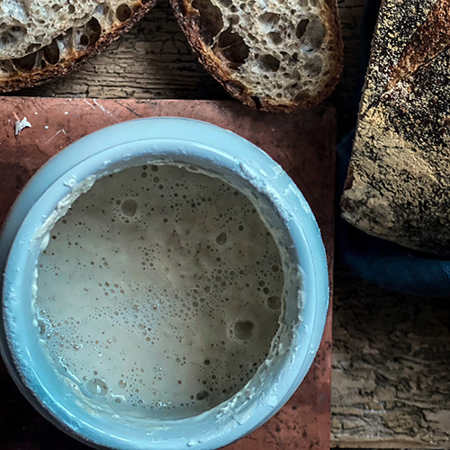 close up image of the White Sourdough Starter Kit and a bubbling sourdough starter
